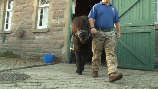 Corporal Cruachan the 4th 