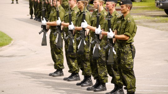Danish Army 