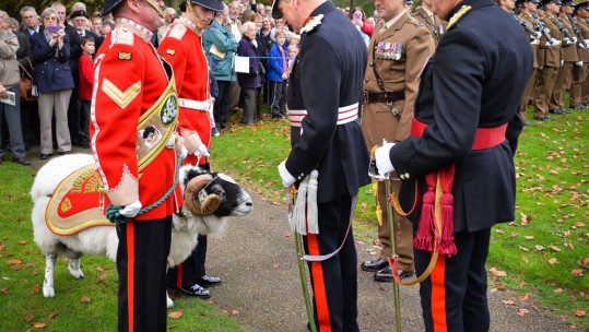 Lance Corporal Derby: A Dedication 
