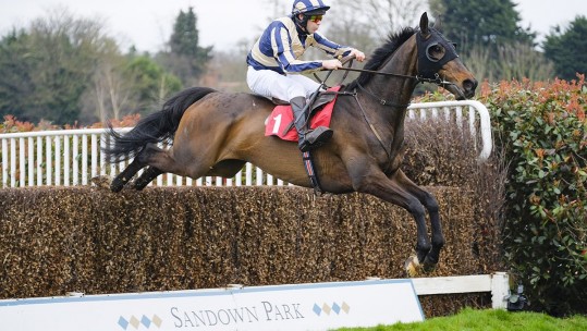 Sandown Park Disney