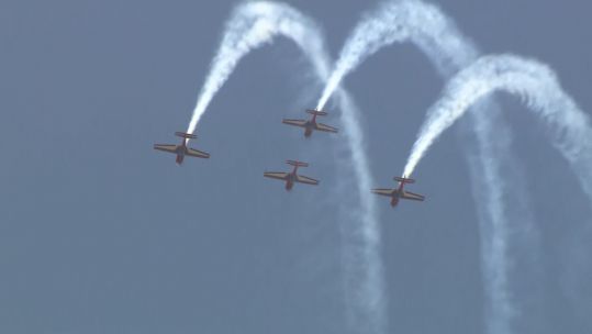  Jordanian Falcons 