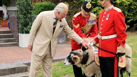 Corporal Derby XXXII of the Mercian Regiment has died aged eight, pictured with future King Charles II in 2022