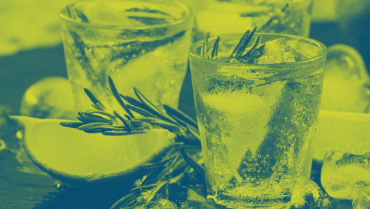 gin-tonic-shutterstock-duo