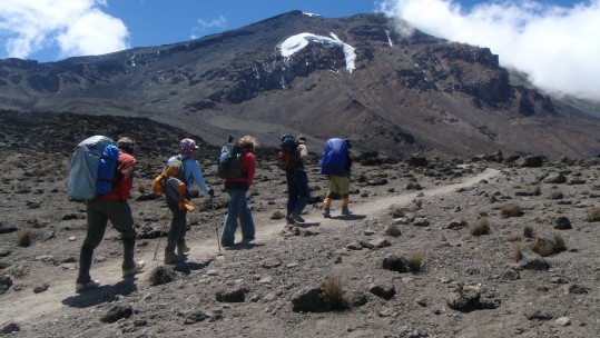 Kilimanjaro 
