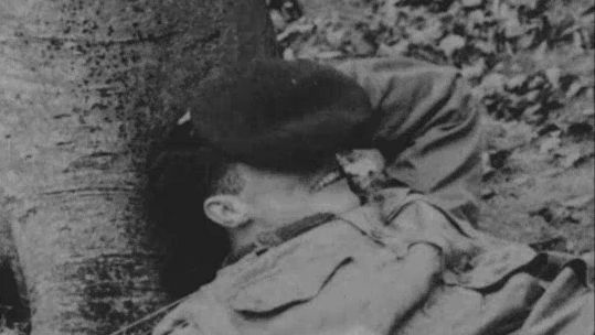 A royal marine is high on LSD