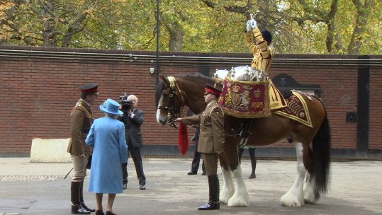Queen meeting Drum Horse Perseus