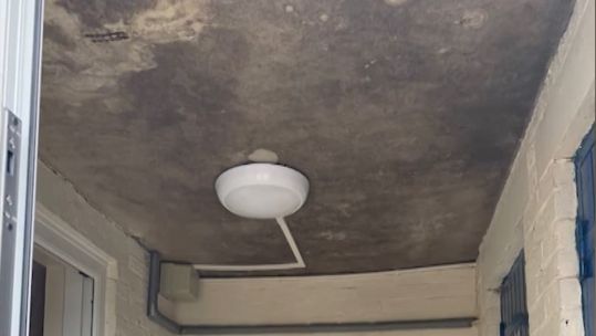 Mould on ceiling of military housing presented to families.