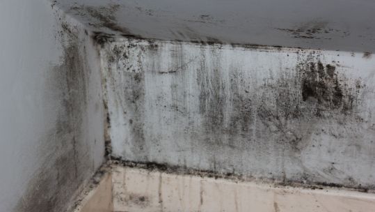 The Continued Blight Of Forces Housing