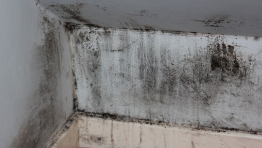 Armed Forces Families ‘Badly Let Down’ With Poor Homes