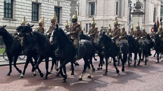 mounted troops daylight rehearsal 24062024 CREDIT BFBS