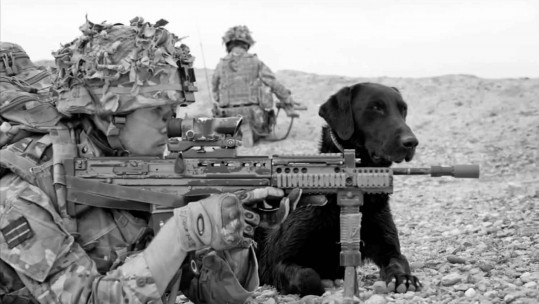 How a Forces Photographer Takes Incredible Images in Afghanistan