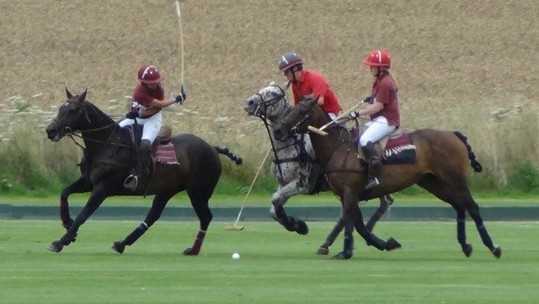 Heroes Polo