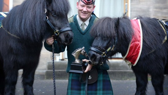 Shetland Pony The Mane Attraction After Scoopping Equine Award