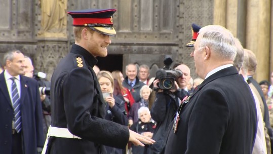 Prince Harry Field of Remembrance 