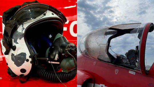 Red 6's jet was struck by a bird during a display flight (Picture: Royal Air Force).