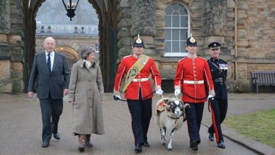 Private Derby XXXII