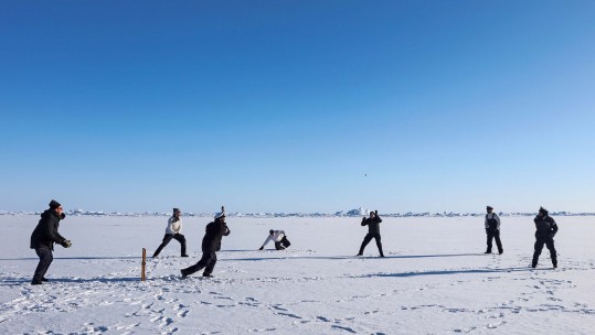 cricket on ice
