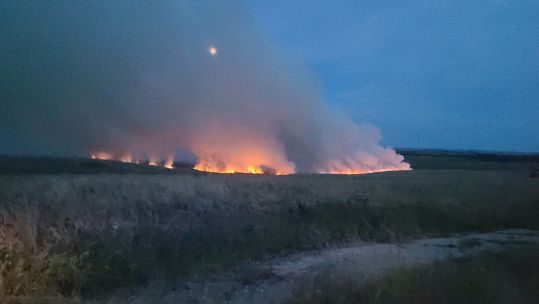 The Salisbury Plain fire was caused by a British Army unit conducting pre-deployment training (Picture: Dorset and Wiltshire Fire and Rescue Service).