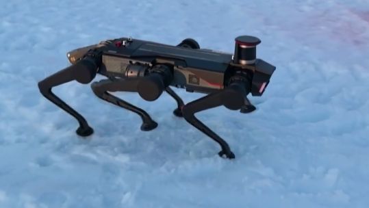 Has China made a robotic dog destined for the battlefield? (Picture: Reuters)