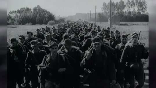 The WWII 'Tigers'