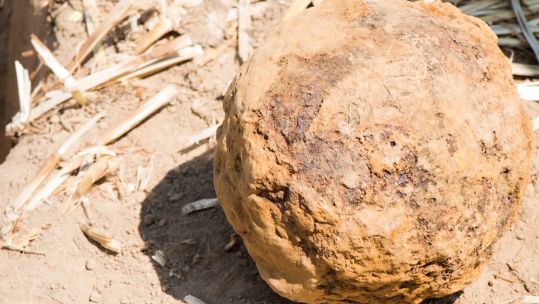unexploded six-inch musketball shell fired from a French howitzer in 1815 found by Waterloo Uncovered.