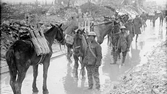 war horse 