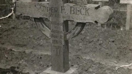 First world war sheffield war trees