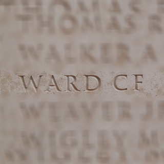 Christopher Francis Ward Falklands War