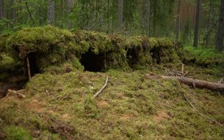 Scots' camouflaged trench in Estonia during Exercise Spring Storm