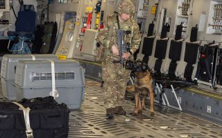 The RAF Akrotiri MWD section has completed over 500 hours of foot patrols 