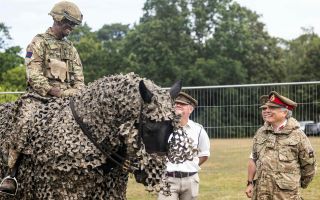 The camouflage netting applied over this horse makes a good comparison with the heraldic caparison worn by a medieval knight's war horse (Picture: MOD)