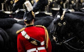 hourse guards parade riders from the back
