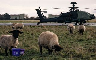 Sheep graze in a field as an Army Air Corps Apache AH-64E waits to be prepared for flight during Exercise Pinion Titan