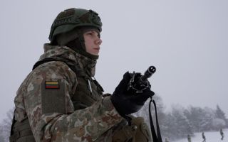 Young Lithuanians are joining up