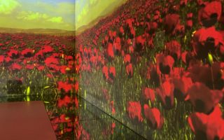 The Royal British Legion launched its Poppy Appeal this year with an interactive display at Frameless in central London