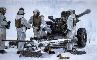 Reform UK’s supporters would be the most willing to join any fight for Britain