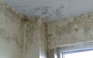 Mould in a service family's accommodation