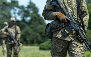 More than 60,000 Ukrainian soldiers have passed through Operation Interflex
