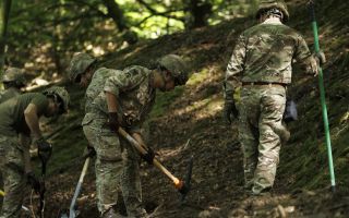 A MACA request was filed to get help from the military to tackle several wildfires burning in the region (Picture: MOD)