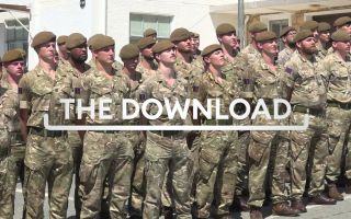 the-download-tn_0