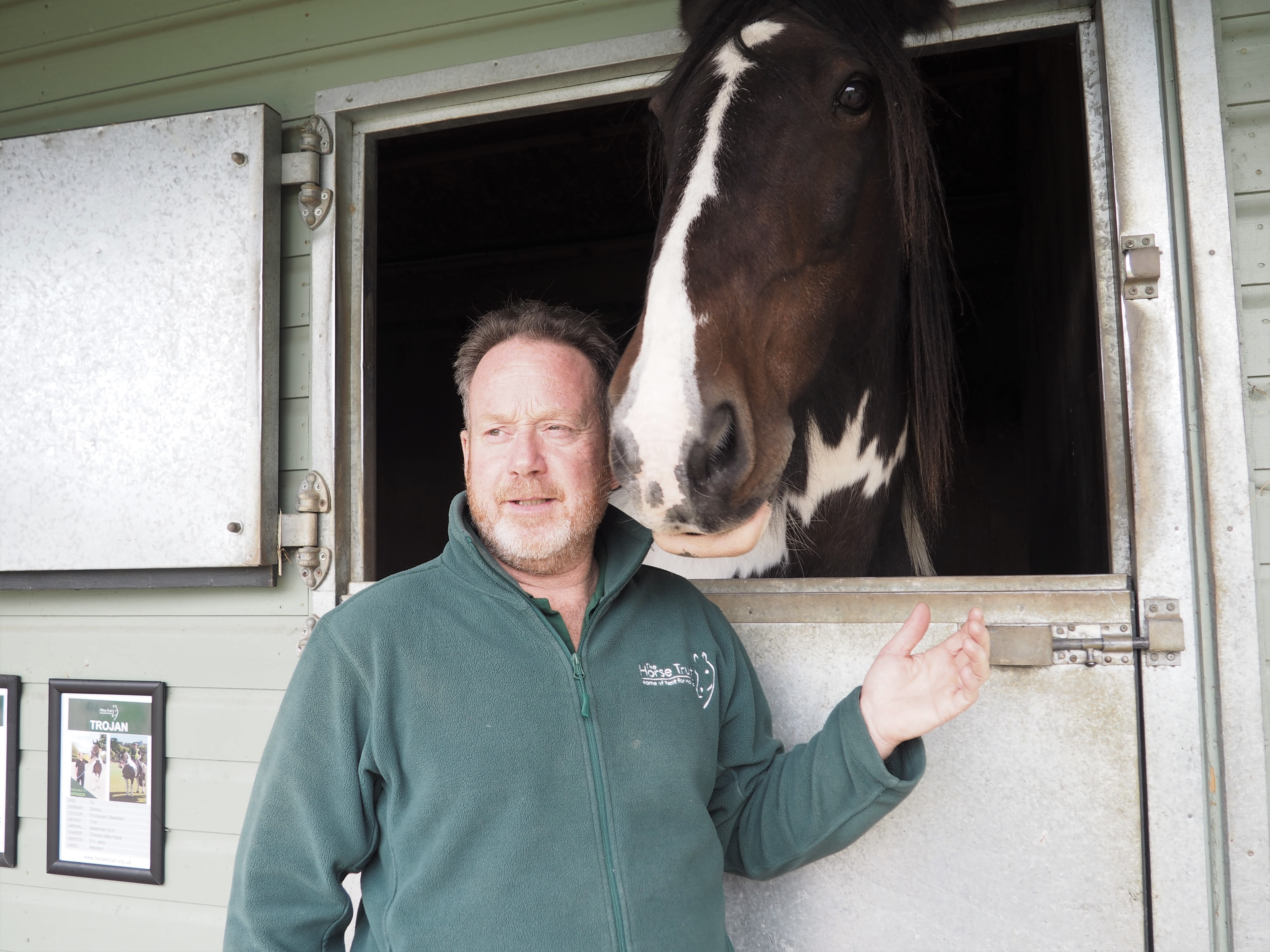 Mark Avison Horse Trust