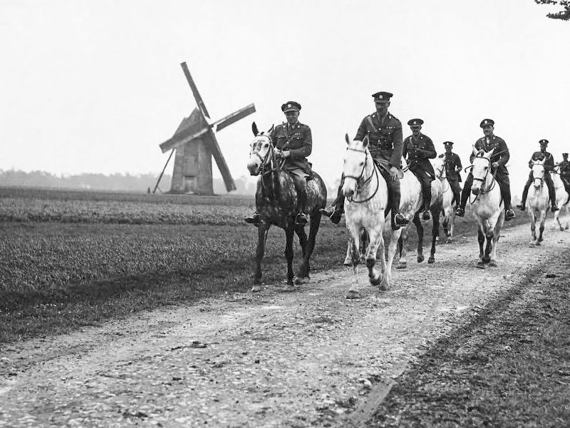 War Horses 