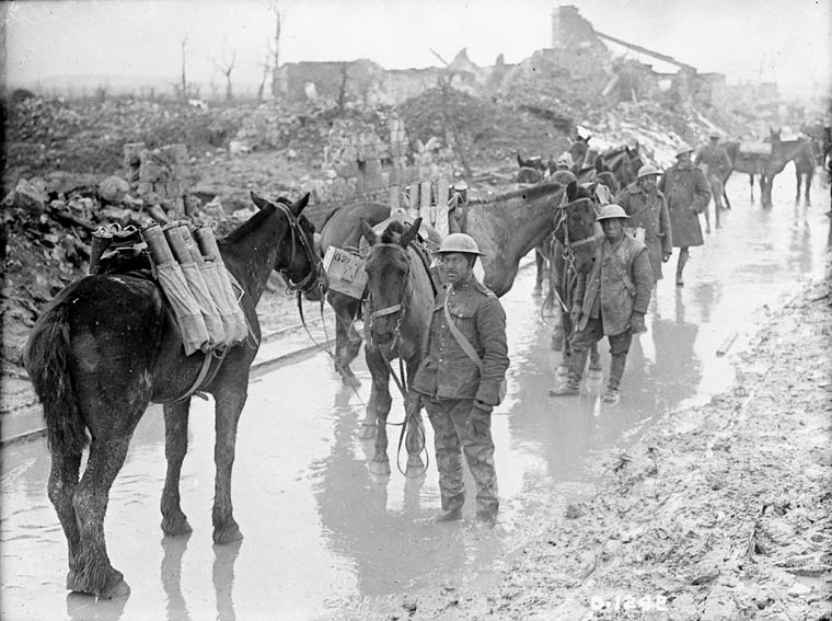 war horse 