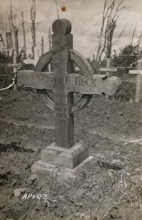 First world war sheffield war trees