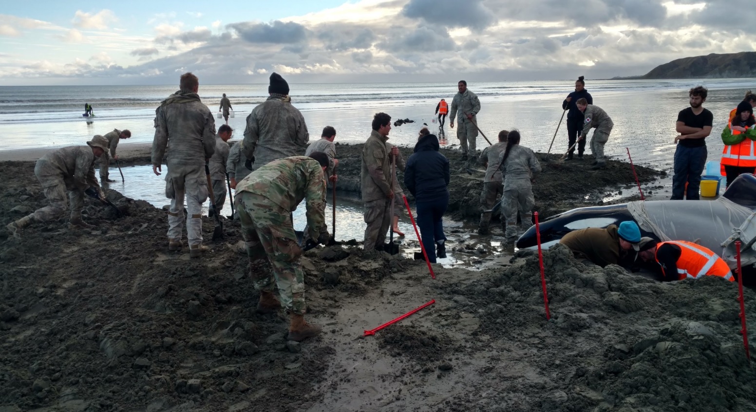 Killer Whale Rescue New Zealand Soldiers