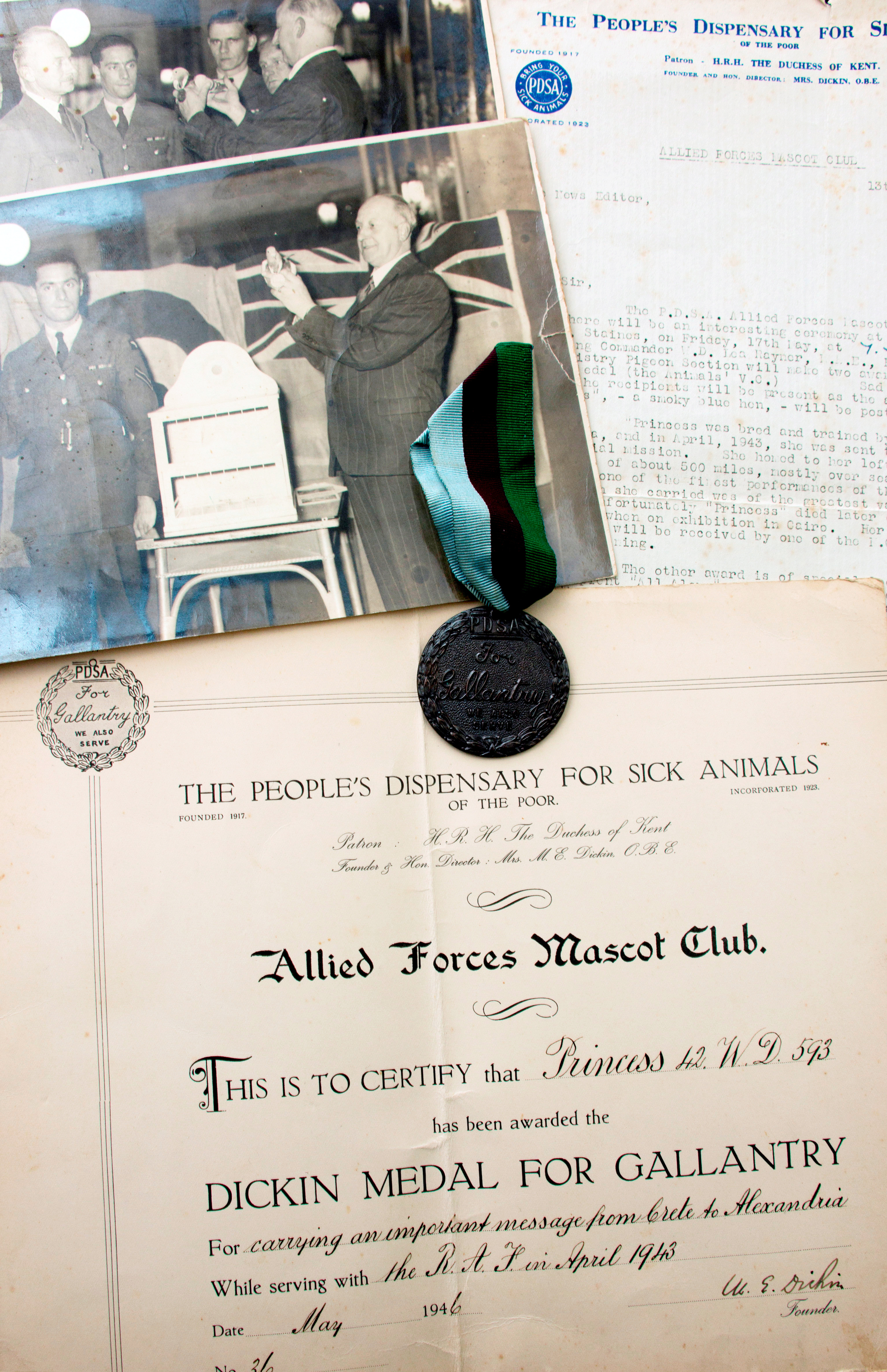 Princess the pigeon medal