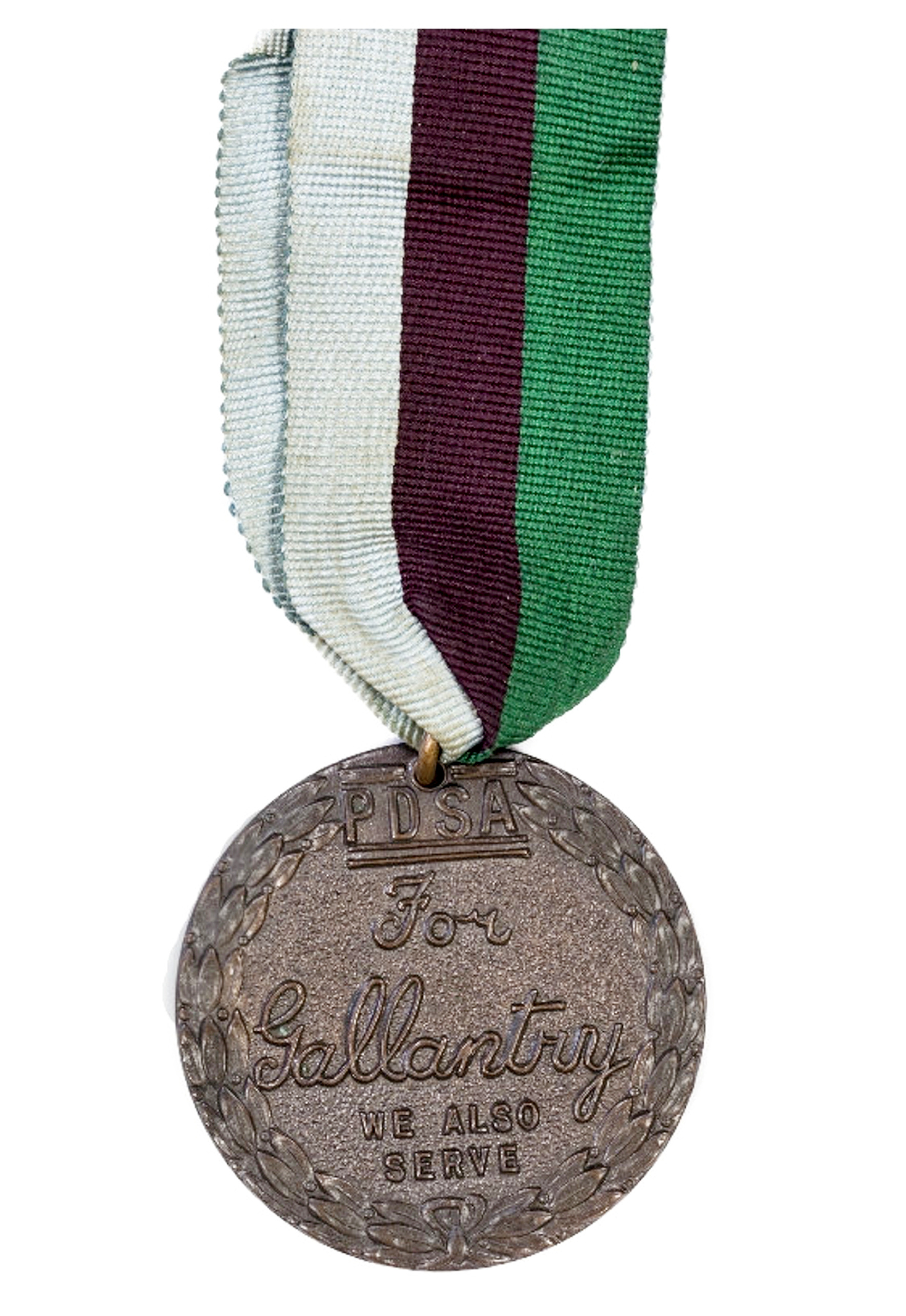 Princess the pigeon medal