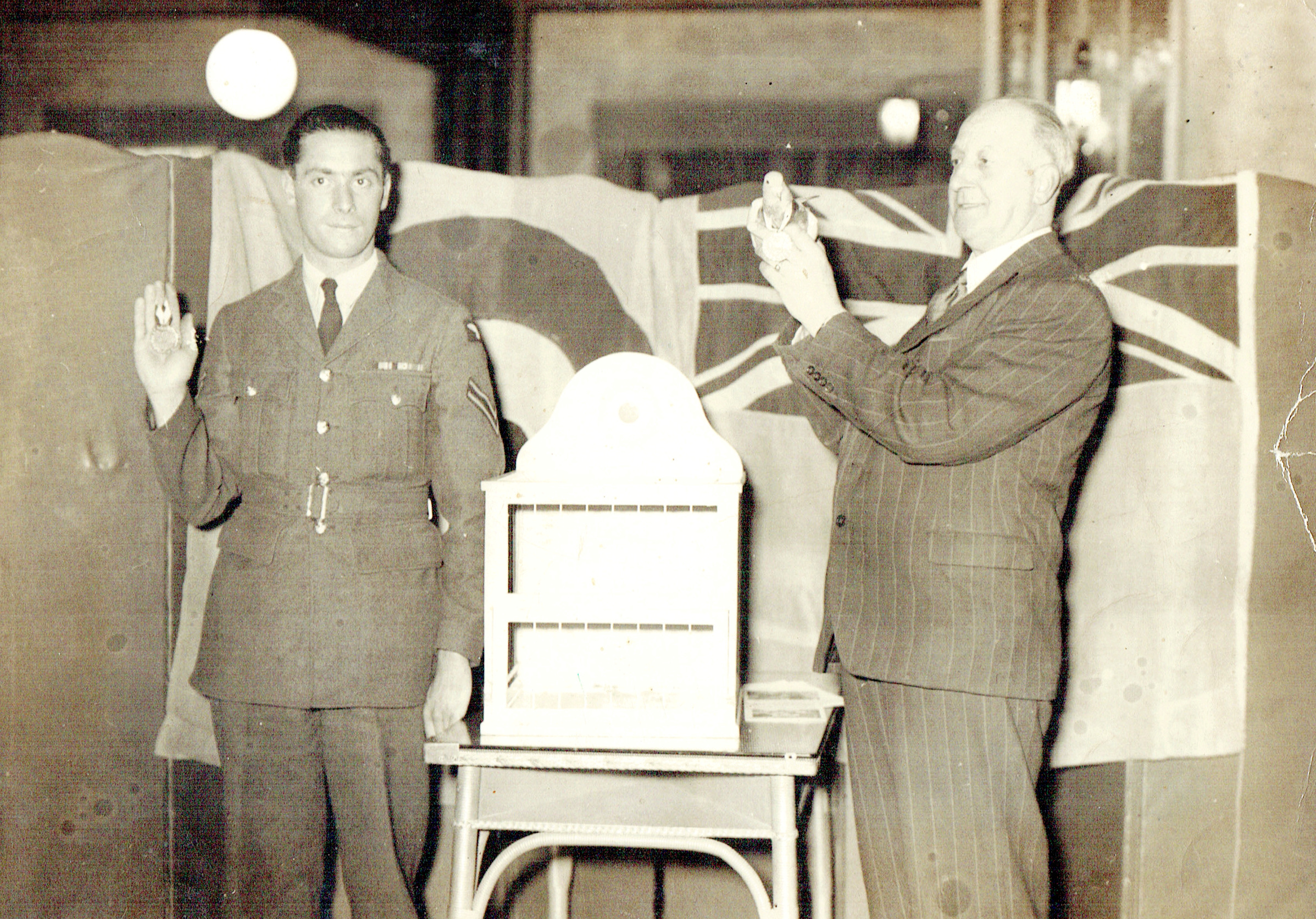 Pigeon Award Ceremony